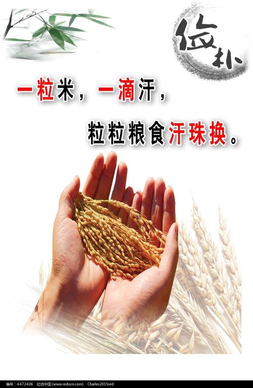 塔拉纳基理工学院Diploma in Economics